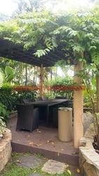 Thomson 800 (D11), Condominium #104718632